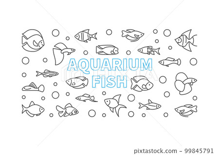 Aquarium fish vector horizontal banner in thin line style 99845791