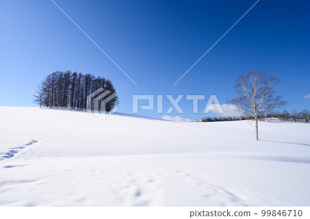 Mild Seven Hills on a Sunny Winter Day 99846710