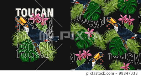 Set of seamless pattern, label with toucan, tropical foliage, text. Monstera, palm leaves, orchid, bird is sitting on tree branch and eating seeds. Vintage illustration for prints, apparel, textile 99847338