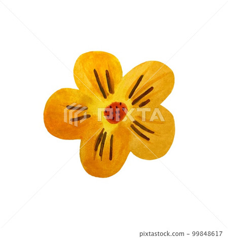 Flower orange cute flat a watercolor illustration Flower orange cute flat a watercolor illustration 99848617