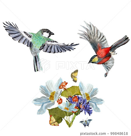 Bouquet flower bird butterfly a watercolor sketch Bouquet flower bird butterfly a watercolor sketch 99848618