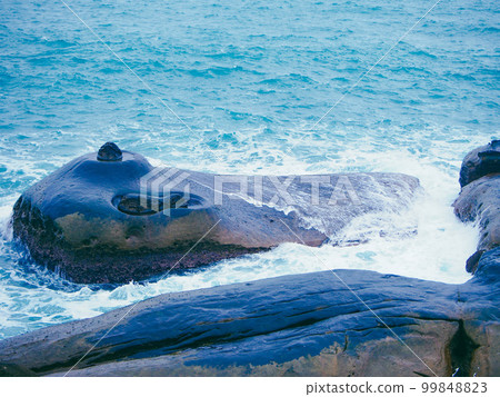 台灣野柳地質公園象巖頭 99848823