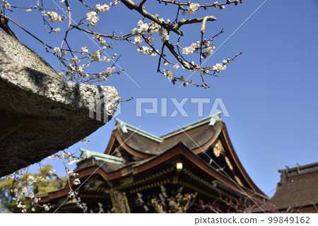Shiraume and Sankomon Kitano Tenmangu Shrine Shiraume and Sankomon Kitano Tenmangu Shrine 99849162