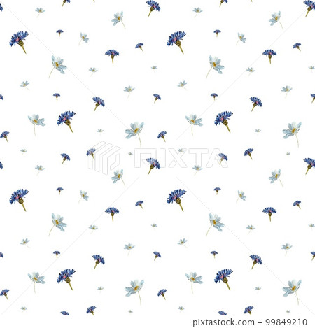 Flower blue daisy pattern seamless cute watercolor Flower blue daisy pattern seamless cute watercolor 99849210