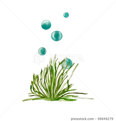 Seaweed bubbles sea ocean blue watercolor sketch 99849279