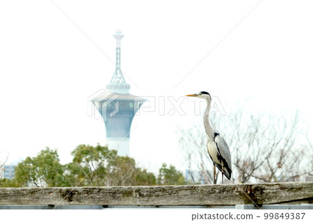 Herons and Tsurumi Ryokuchi Observation Tower Herons and Tsurumi Ryokuchi Observation Tower 99849387