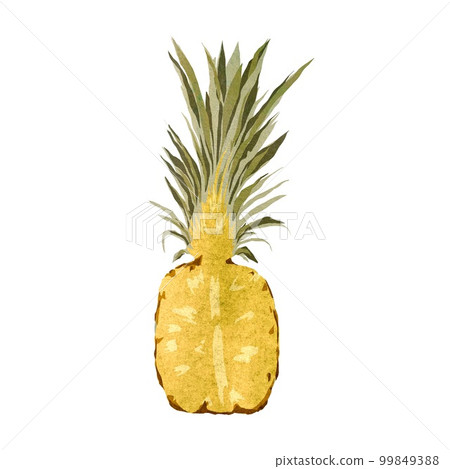 Pineapple half yellow fruit collage a watercolor 99849388