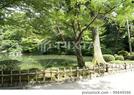 Japanese garden garden and pond landscape 99849566