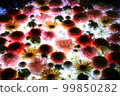 night flower water 99850282