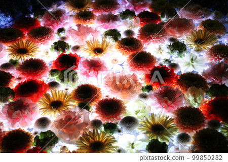 night flower water 99850282