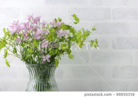 pink delphinium and bupleurium pink delphinium and bupleurium 99850356