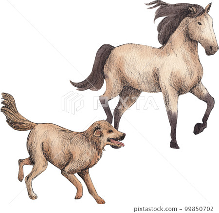 Farm life watercolor,character,animal,PNG element 99850702