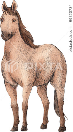 Farm life watercolor,animal,character,baan house,PNG element Farm life watercolor,animal,character,baan house,PNG element 99850724