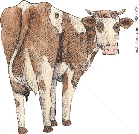 Farm life watercolor,animal,character,baan house,PNG element 99850725