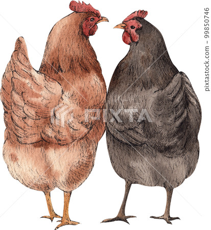 Farm life watercolor,animal,character,baan house,PNG element 99850746