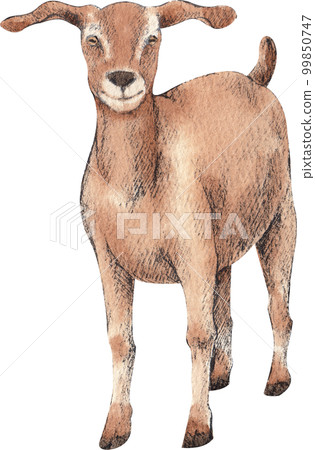 Farm life watercolor,animal,character,baan house,PNG element 99850747