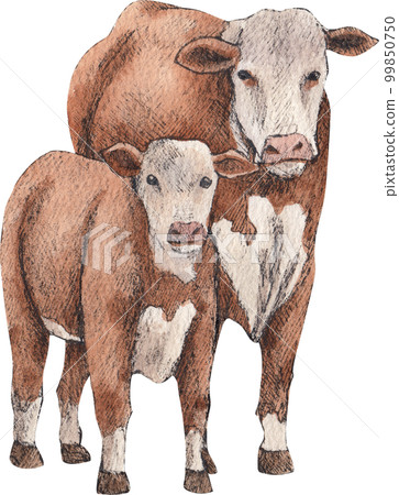Farm life watercolor,animal,character,baan house,PNG element 99850750