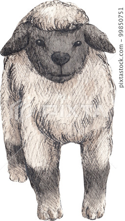 Farm life watercolor,animal,character,baan house,PNG element Farm life watercolor,animal,character,baan house,PNG element 99850751