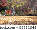 mountain temple scenery in late autumn 99851848