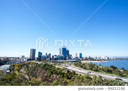 Breathtaking view of Perth in sunny weather from Kings Park 99852198
