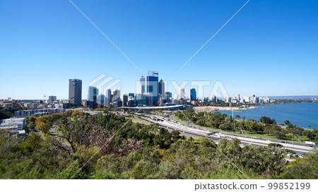 Perth skyscrapers seen from Kings Park 99852199