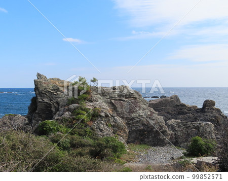 The sea, rocks, beach, megaliths, huge rocks, oddly shaped rocks, Muroto Global Geopark 99852571