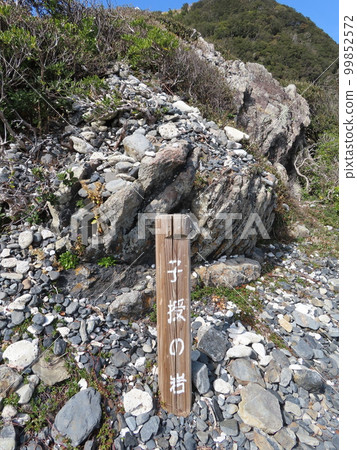 高知縣室戶岬的大海、岩石、沙灘、巨石 99852572