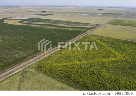 Cultivated fields in the Pampas region, Argentina. 99853069