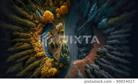 Road for a car among the forest, top view. 99854027
