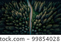Road for a car among the forest, top view. 99854028