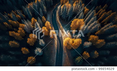 Road for a car among the forest, top view. 99854029
