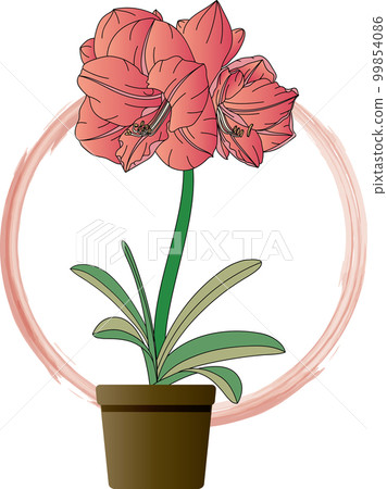 Illustration of Amaryllis flower in pot on circle background. Illustration of Amaryllis flower in pot on circle background. 99854086
