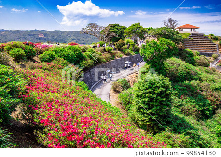 Okinawa azalea festival 99854130