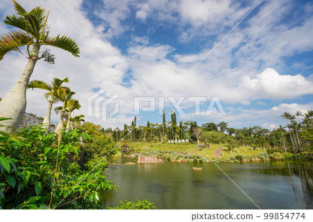 沖繩縣東南植物園水上樂園區一景 沖繩縣東南植物園水上樂園區一景 99854774