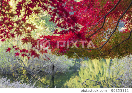 秋天的聖城湖畔 99855511