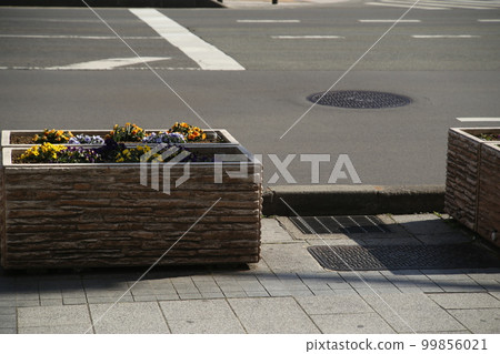 長野大通人行道 99856021