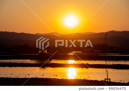 Agricultural work at dusk 99856470