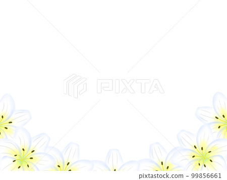 Lily frame_bottom decoration Lily frame_bottom decoration 99856661