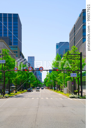 [Osaka Prefecture] Sightseeing in Midosuji on a refreshing holiday under the blue sky in April 99857921