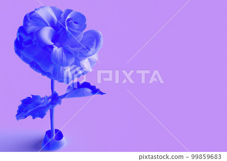blue rose and purple background 99859683
