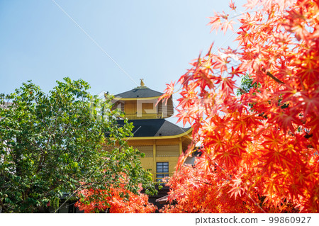 Fake Golden pavillion of Kinkakuji temple with red maple leaf Fake Golden pavillion of Kinkakuji temple with red maple leaf 99860927