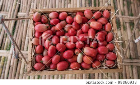 red cherry tomatoes on basket to sell in Thai market 99860938