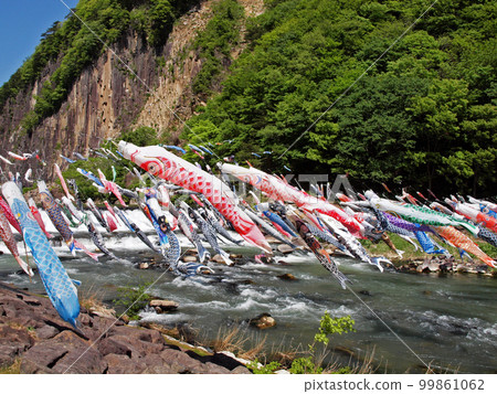 在白石川材木岩公園游泳的鯉魚旗 99861062