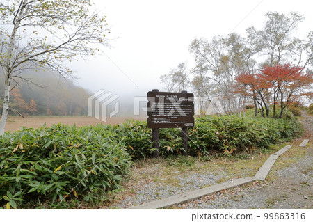 秋天的濕地(長野縣山之內町志賀高原田之原濕地) 秋天的濕地(長野縣山之內町志賀高原田之原濕地) 99863316