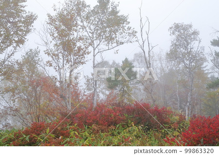 A mountain covered with fog in autumn (Shiga Kogen, Yamanouchi Town, Nagano Prefecture) 99863320