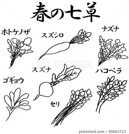 春天的七種草藥插畫素材矢量圖 99863723
