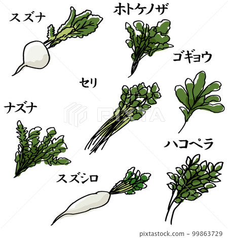 Illustration material vector of the seven herbs of spring Illustration material vector of the seven herbs of spring 99863729