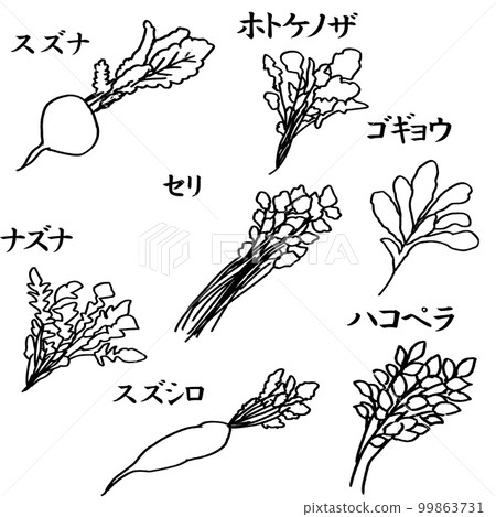 Illustration material vector of the seven herbs of spring 99863731