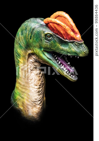The head of Dilophosaurus in the dark , dinosaur on black background The head of Dilophosaurus in the dark , dinosaur on black background 99864436