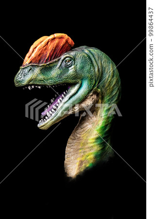 The head of Dilophosaurus in the dark , dinosaur on black background The head of Dilophosaurus in the dark , dinosaur on black background 99864437